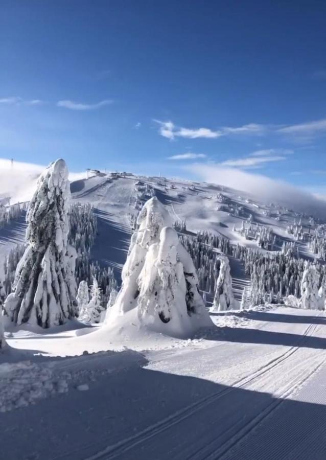 Apartamento Sunny Kop Cardaci Kopaonik Exterior foto